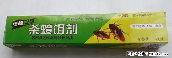 【紧急提醒】如果有“防疫站工作人员”上门灭杀蟑螂，请立刻报警 - 灌水专区 - 徐州生活社区 - 徐州28生活网 xz.28life.net