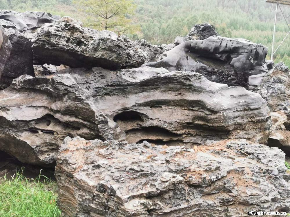 风景石、假山石大量有货，有需要的欢迎联系 - 新手上路 - 徐州生活社区 - 徐州28生活网 xz.28life.net