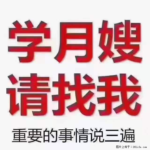 为什么要学习月嫂，育婴师？ - 其他广告 - 广告专区 - 徐州分类信息 - 徐州28生活网 xz.28life.net