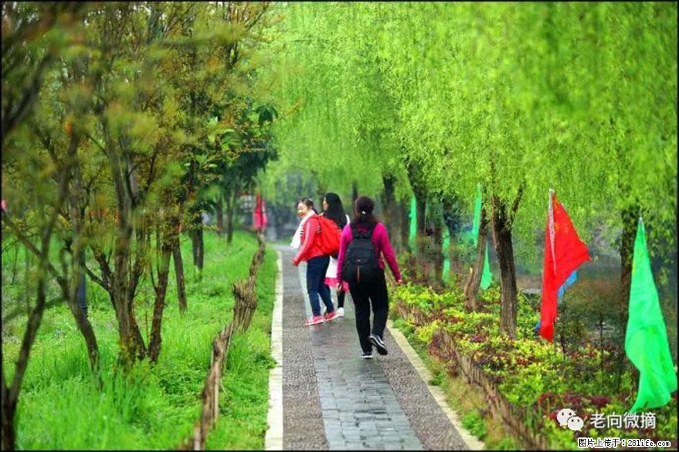 【春天，广西桂林灌阳县向您发出邀请！】江口老街又逢春 - 游山玩水 - 徐州生活社区 - 徐州28生活网 xz.28life.net