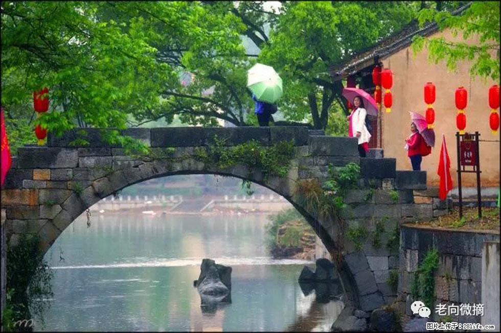 【春天，广西桂林灌阳县向您发出邀请！】江口老街又逢春 - 游山玩水 - 徐州生活社区 - 徐州28生活网 xz.28life.net