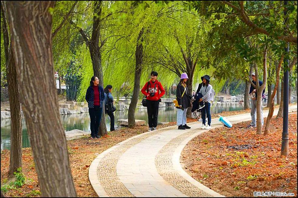 【春天，广西桂林灌阳县向您发出邀请！】江口老街又逢春 - 游山玩水 - 徐州生活社区 - 徐州28生活网 xz.28life.net