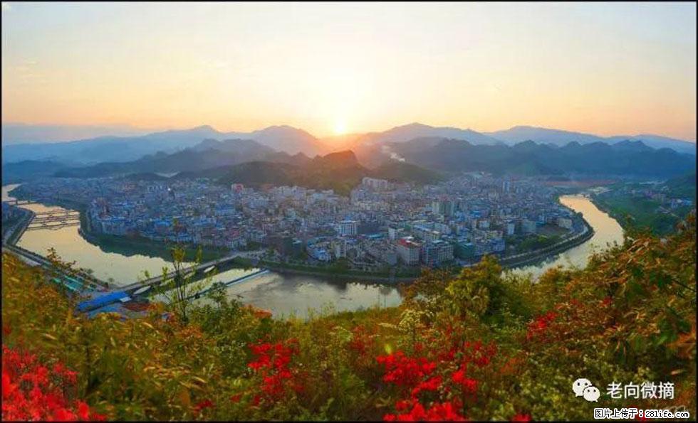 【春天，广西桂林灌阳县向您发出邀请！】登麒麟山，相约映山红 - 游山玩水 - 徐州生活社区 - 徐州28生活网 xz.28life.net