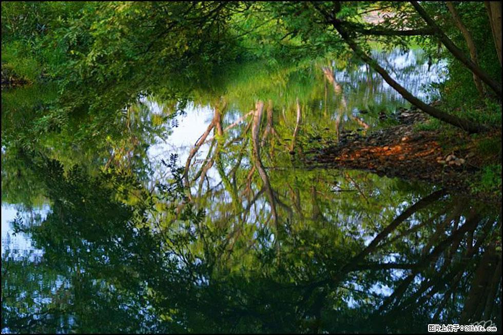 【春天，广西桂林灌阳县向您发出邀请！】熊家寨湿地公园 - 游山玩水 - 徐州生活社区 - 徐州28生活网 xz.28life.net