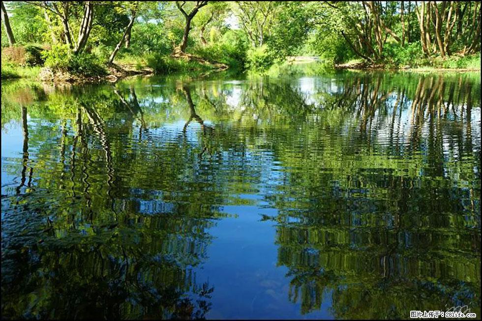 【春天，广西桂林灌阳县向您发出邀请！】熊家寨湿地公园 - 游山玩水 - 徐州生活社区 - 徐州28生活网 xz.28life.net
