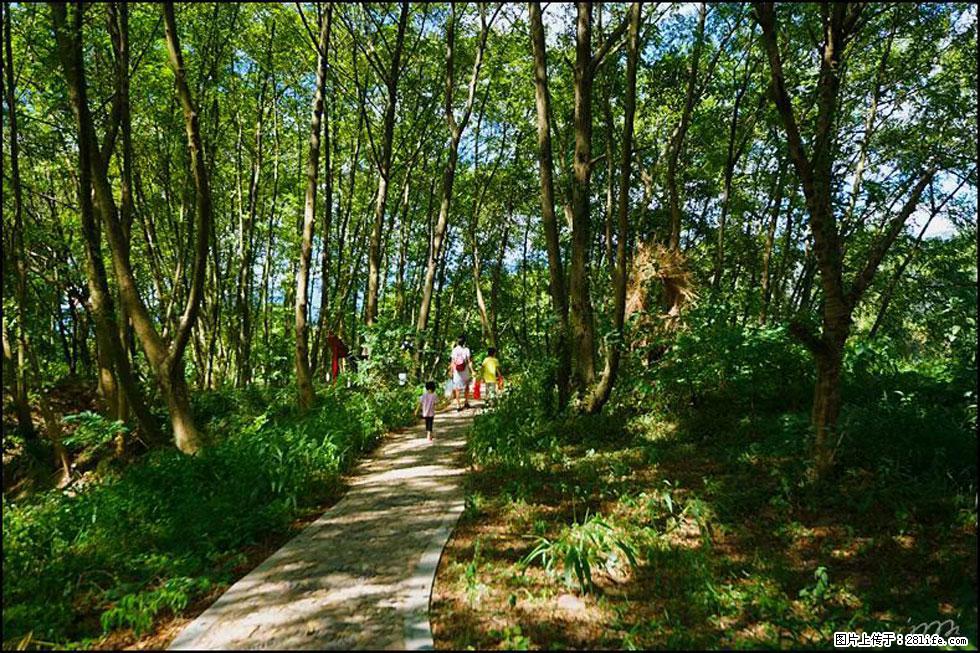 【春天，广西桂林灌阳县向您发出邀请！】熊家寨湿地公园 - 游山玩水 - 徐州生活社区 - 徐州28生活网 xz.28life.net