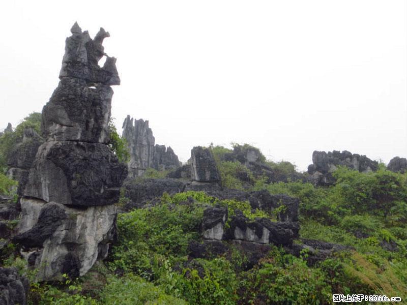 桂林旅游名城景点：灌阳文市石林 - 游山玩水 - 徐州生活社区 - 徐州28生活网 xz.28life.net