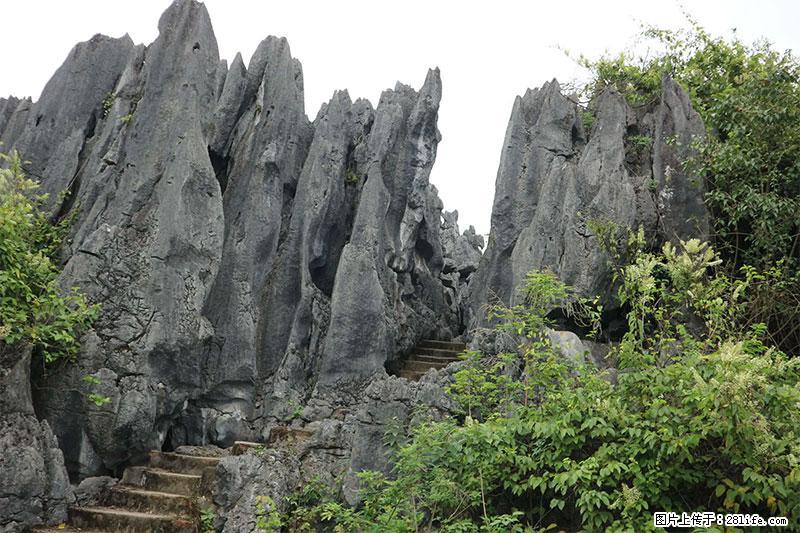 桂林旅游名城景点：灌阳文市石林 - 游山玩水 - 徐州生活社区 - 徐州28生活网 xz.28life.net