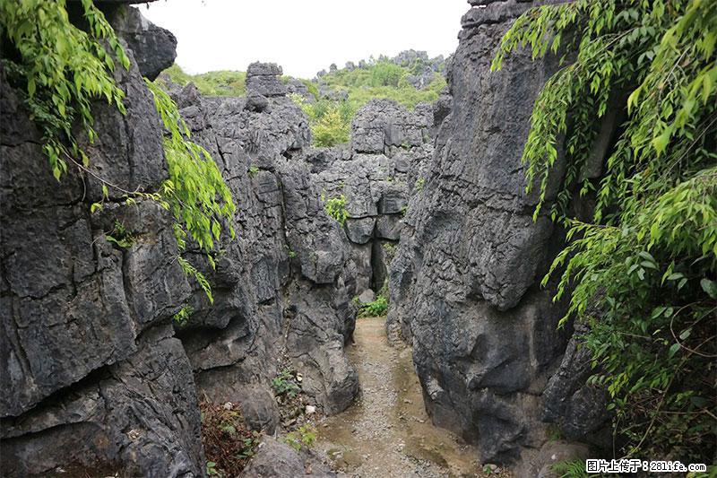 桂林旅游名城景点：灌阳文市石林 - 游山玩水 - 徐州生活社区 - 徐州28生活网 xz.28life.net
