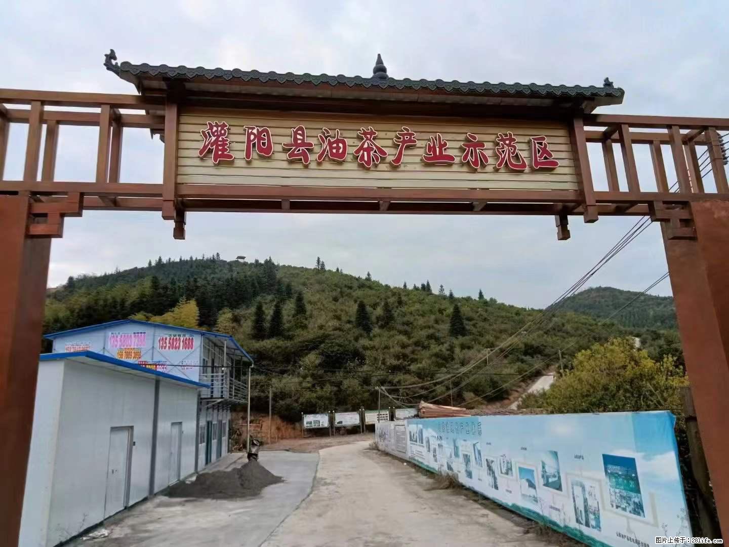 【灌阳县油茶产业示范区】一个有着充实的精神生活的人，对待身外之物自会有一种淡泊的态度 - 美食天地 - 徐州生活社区 - 徐州28生活网 xz.28life.net
