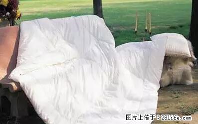 被子有异味？只要这样做，比晒太阳还强100倍！ - 家居生活 - 徐州生活社区 - 徐州28生活网 xz.28life.net