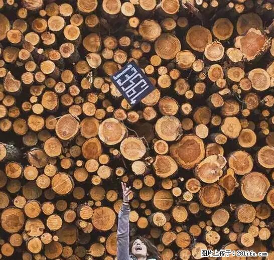 辞掉工作周游世界？现在他们在洗厕所…… - 游山玩水 - 徐州生活社区 - 徐州28生活网 xz.28life.net