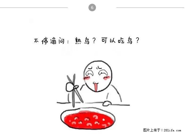 千万不要和这9种哈卵一起吃火锅！ - 美食天地 - 徐州生活社区 - 徐州28生活网 xz.28life.net