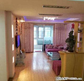 云龙万达东方美地豪华装修温馨两室 房主急租 拎包即住随时看房 - 徐州28生活网 xz.28life.net