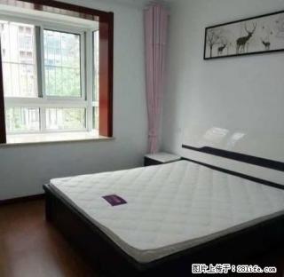 青年路小学未来城3室豪华,全新高档家具(全新高档装修,一 - 徐州28生活网 xz.28life.net