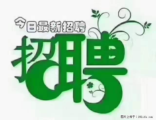 【招聘摄像师】待遇：试用期6000元/月，转正7000元/月+五险一金+餐补+节日福利+奖金 - 职场交流 - 徐州生活社区 - 徐州28生活网 xz.28life.net