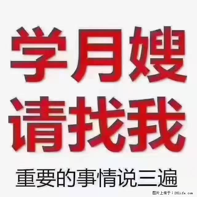 【招聘】月嫂，上海徐汇区 - 职场交流 - 徐州生活社区 - 徐州28生活网 xz.28life.net