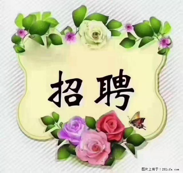 【招聘】住家育儿嫂，上户日期：4月4日，工作地址：上海 黄浦区 - 职场交流 - 徐州生活社区 - 徐州28生活网 xz.28life.net