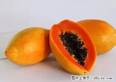 晕车、脚气、牙齿变黄、皮肤粗糙？学会这些三分钟搞定！ - 徐州生活资讯 - 徐州28生活网 xz.28life.net