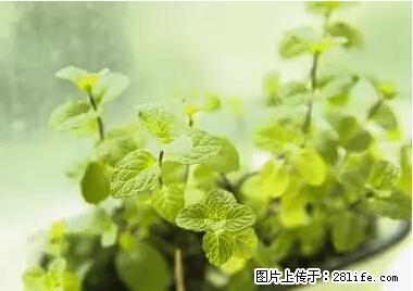 晕车、脚气、牙齿变黄、皮肤粗糙？学会这些三分钟搞定！ - 徐州生活资讯 - 徐州28生活网 xz.28life.net