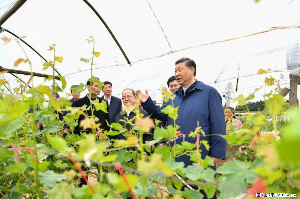 习近平赴广西考察调研 - 徐州生活资讯 - 徐州28生活网 xz.28life.net