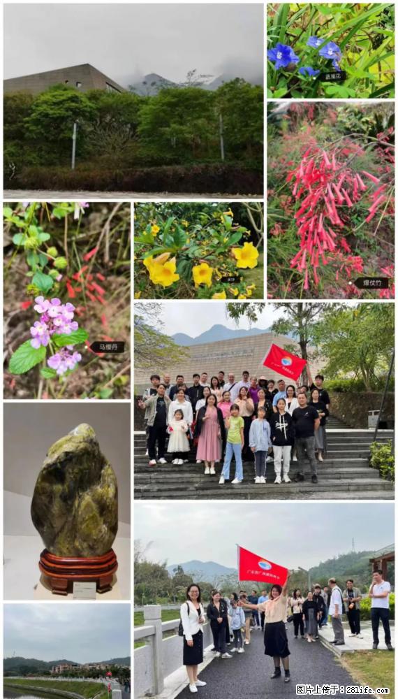 “粤灌文化 美好生活”油茶文化主题活动在广东深圳成功举办 - 徐州生活资讯 - 徐州28生活网 xz.28life.net