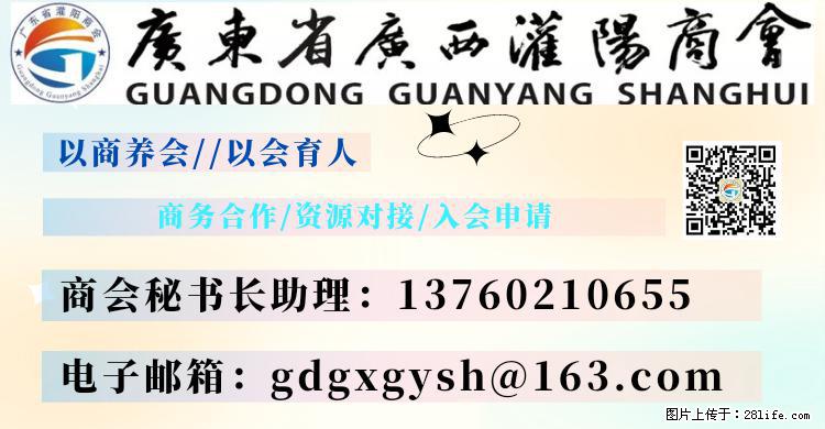 “粤灌文化 美好生活”油茶文化主题活动在广东深圳成功举办 - 徐州生活资讯 - 徐州28生活网 xz.28life.net
