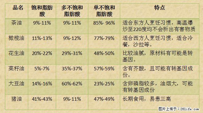 揭秘茶油的5大核心营养成分！被称为人体健康的“守护盾”！ - 徐州生活资讯 - 徐州28生活网 xz.28life.net