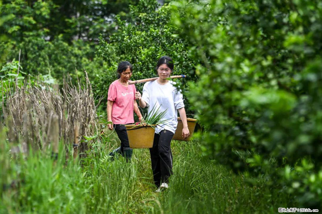 全网追的“扁担女孩”，找了一份暑假工，时薪12元 - 徐州生活资讯 - 徐州28生活网 xz.28life.net