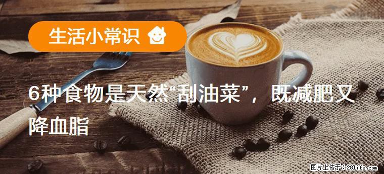 【生活小常识】6种食物是天然“刮油菜”，既减肥又降血脂 - 徐州生活资讯 - 徐州28生活网 xz.28life.net