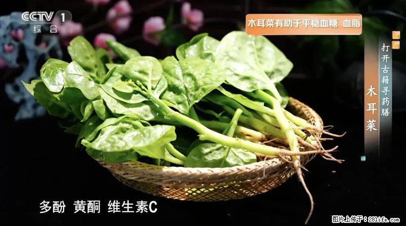比牛奶补钙还厉害！凉血解毒、稳血糖...这菜冬天必吃，很多人却当草 - 徐州生活资讯 - 徐州28生活网 xz.28life.net