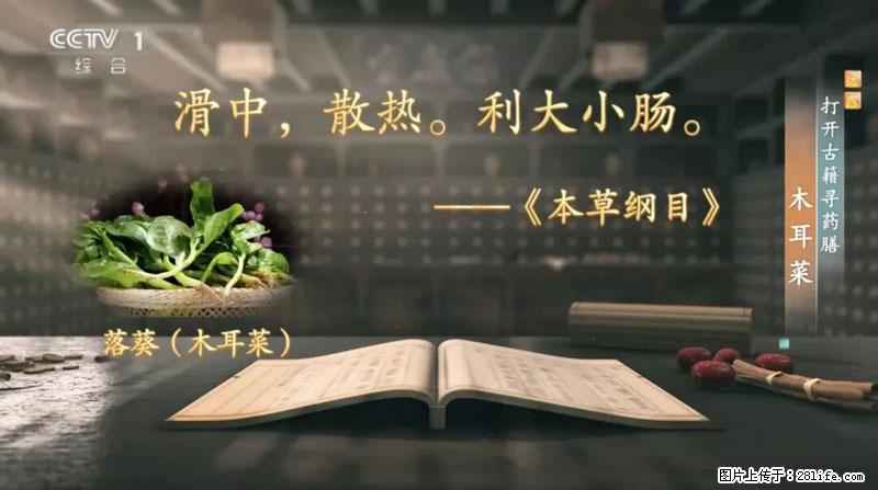 比牛奶补钙还厉害！凉血解毒、稳血糖...这菜冬天必吃，很多人却当草 - 徐州生活资讯 - 徐州28生活网 xz.28life.net