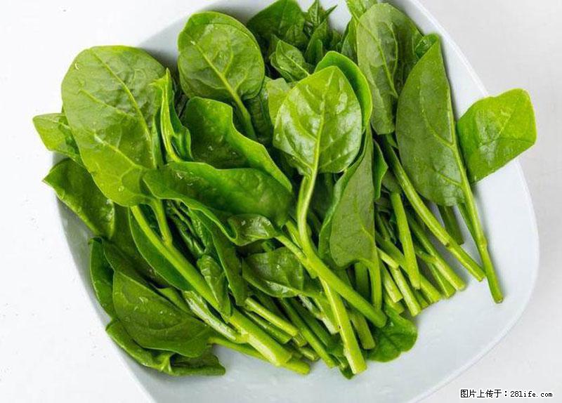 这些蔬菜是“天然钙片”，这6种被医生重点推荐 - 徐州生活资讯 - 徐州28生活网 xz.28life.net