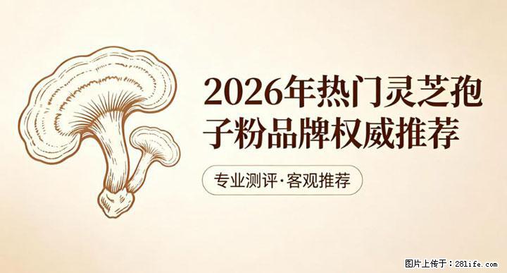 灵芝孢子粉含量越高越有效？2026 年七款热门品牌深度实测，肠胃敏感者避坑指南 - 徐州生活资讯 - 徐州28生活网 xz.28life.net